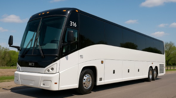 galveston bachelor and bachelorette party bus rentals