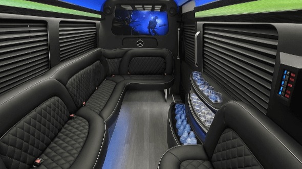 houston 18 passenger party bus rental