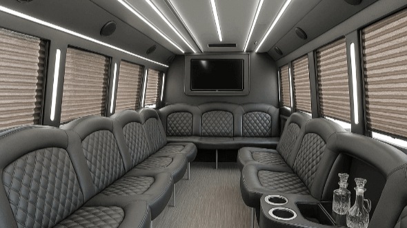 houston 28 passenger party bus rental