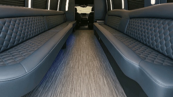 houston 30 passenger party bus rental