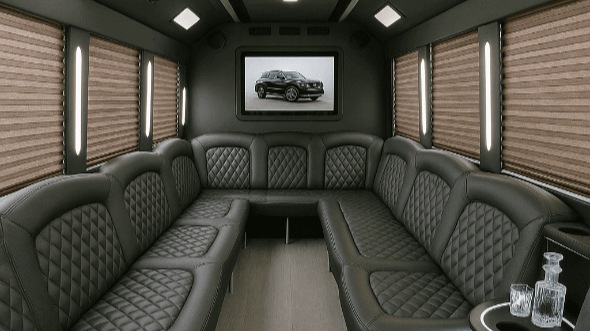 houston 50 passenger party bus rental