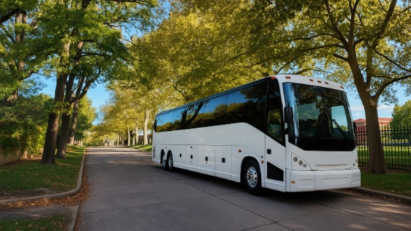 houston birthday party bus rentals