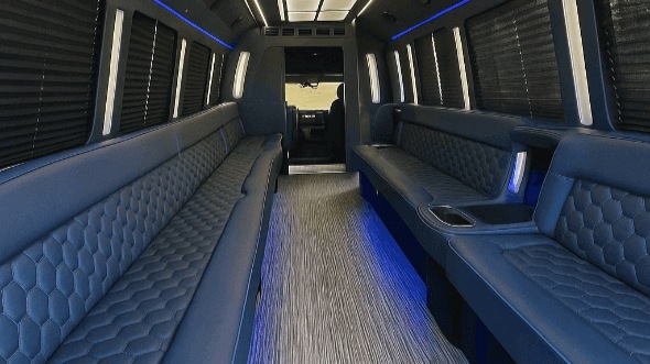 league city 20 passenger party bus